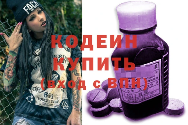 ECSTASY Ельня