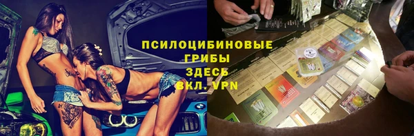 мдпв Алексеевка